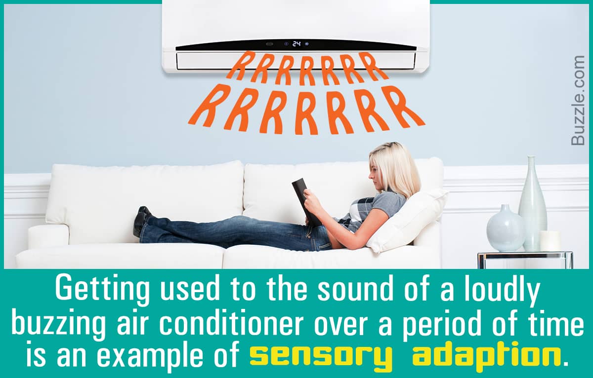 Image result for sensory adaptation