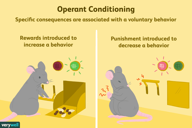 Image result for Operant Conditioning