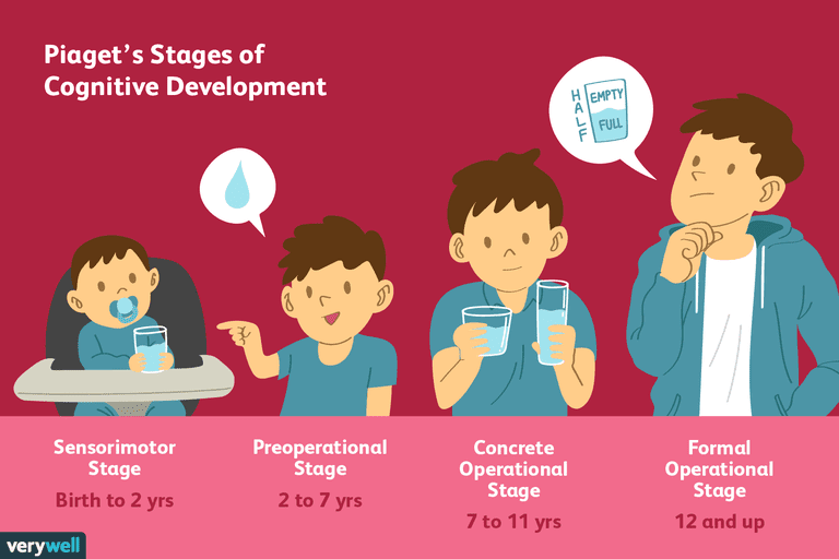 Image result for Piagetâ€™s theory of cognitive development