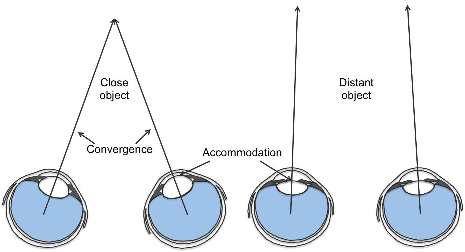 Image result for Depth Perception