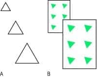 Image result for Depth Perception Interposition