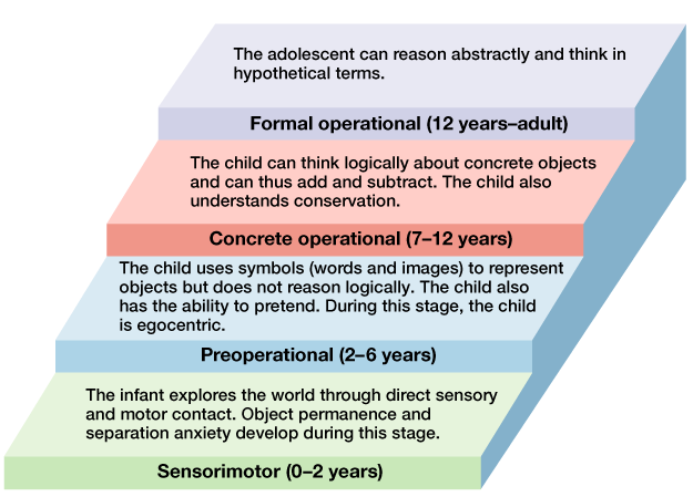 Image result for Piagetâ€™s theory of cognitive development