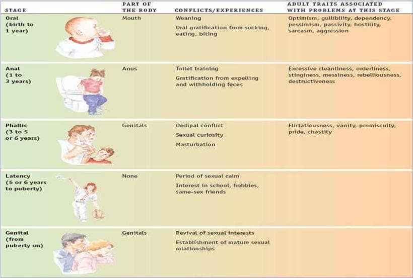 Image result for Freudâ€™s Psychosexual Theory
