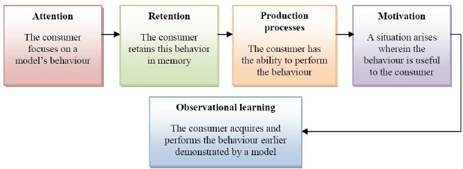 Image result for Observational Learning