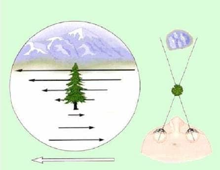 Image result for Depth Perception Motion parallax