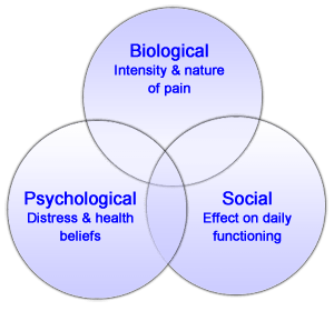 Image result for Pain psychology