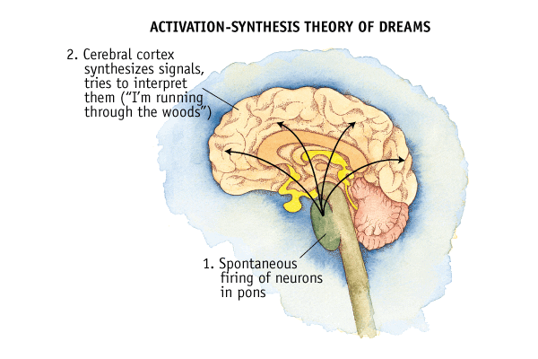 Image result for Activation-synthesis theory