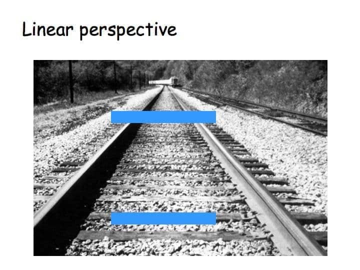 Image result for Depth Perception monocular cue