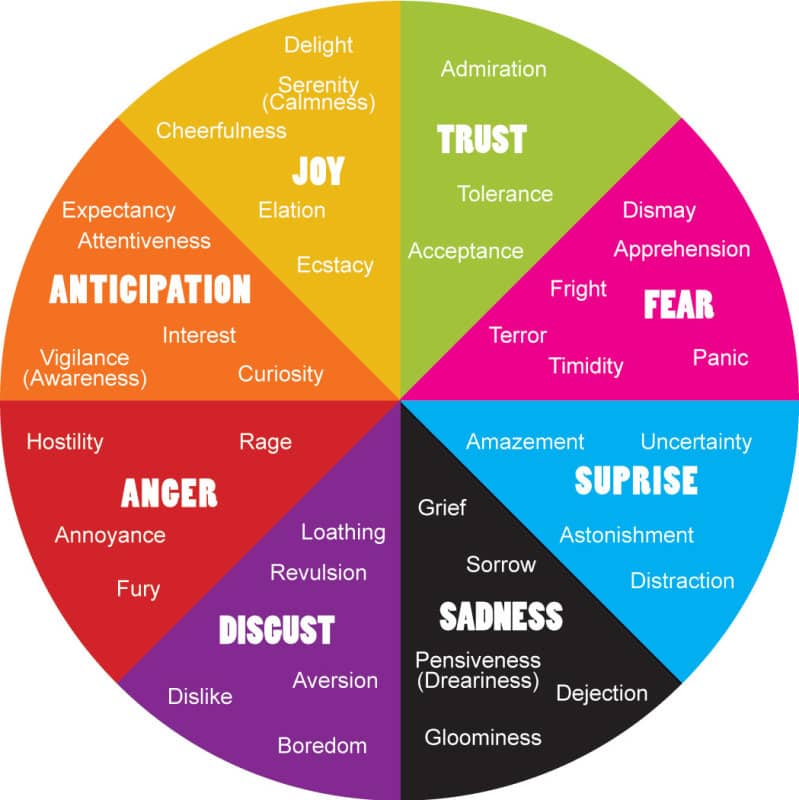 Image result for primary emotion