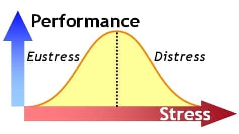 Image result for Eustress Distress