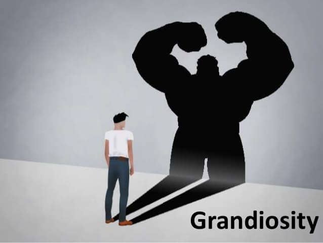 Image result for grandiose