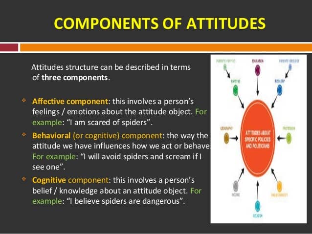 Image result for components of attitude